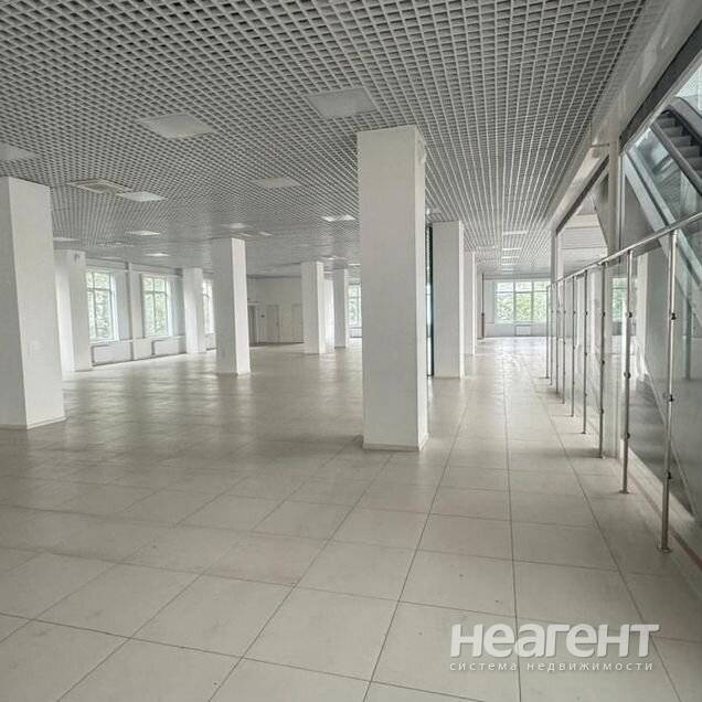 Фотография №5