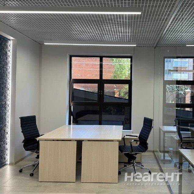 Фотография №5