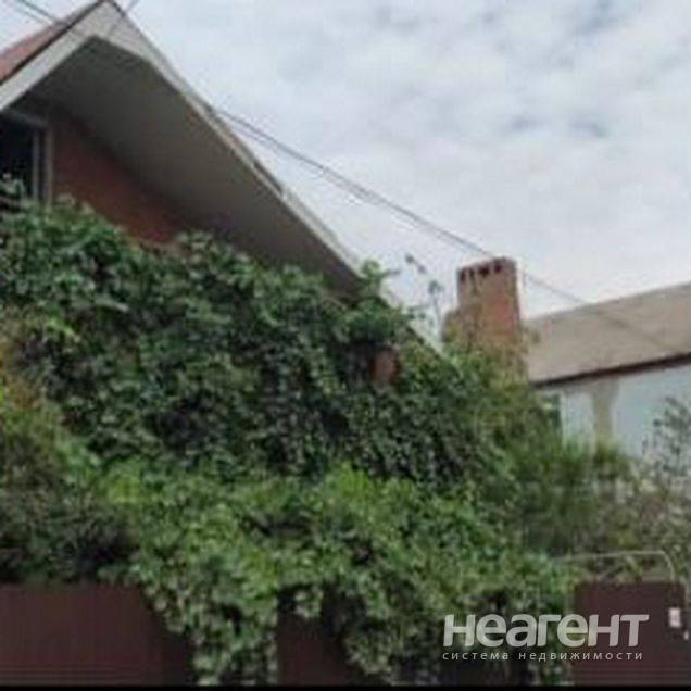 Фотография №2