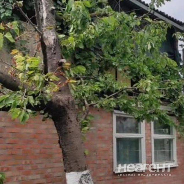 Фотография №3