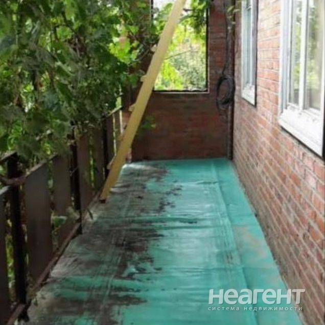 Фотография №4