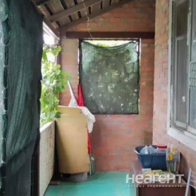 Фотография №5