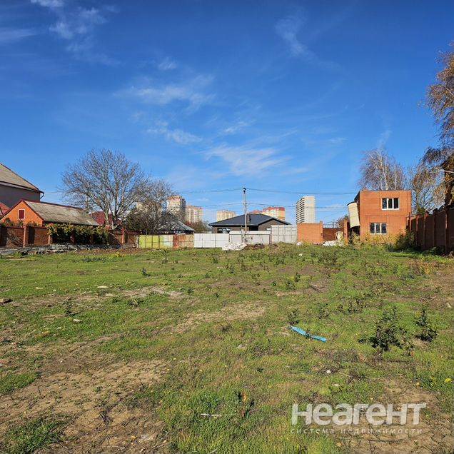 Фотография №4