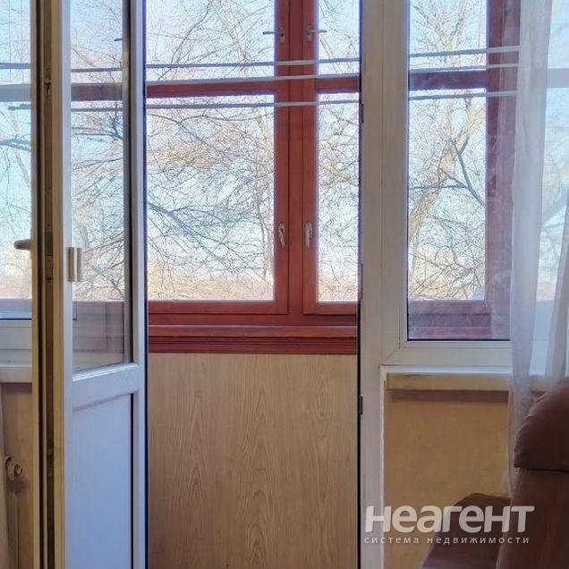 Фотография №2