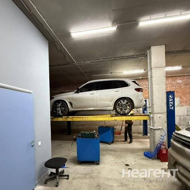 Фотография №5