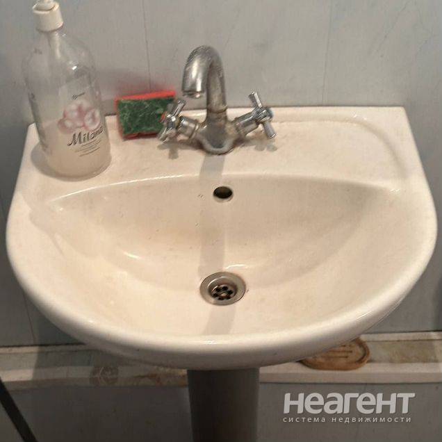 Фотография №5