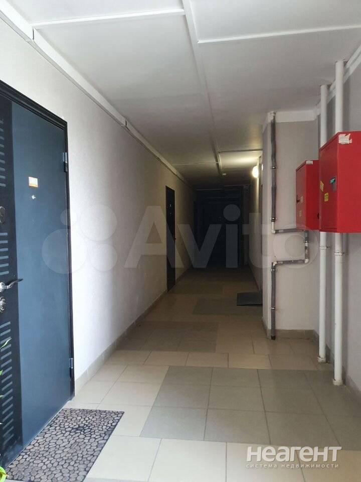 Фотография №3