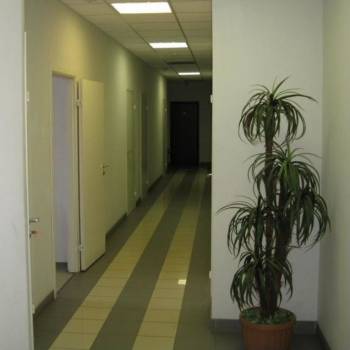 Сдается Офис, 17 м²