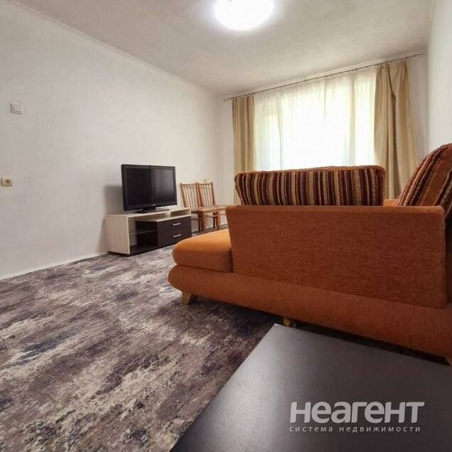 Фотография №4