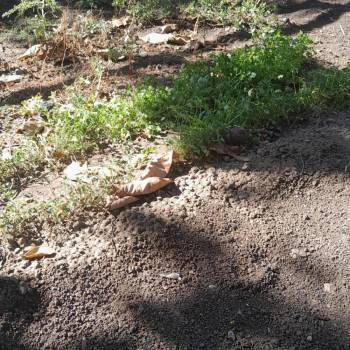 Продается Участок, 900 м²