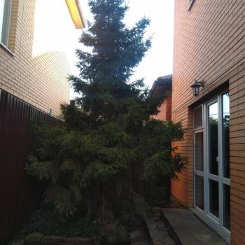 Продается Дом, 99,8 м²