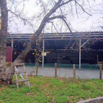 Сдается Нежилое помещение, 177 м²