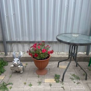 Сдается Комната, 20 м²