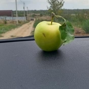 Продается Участок, 600 м²