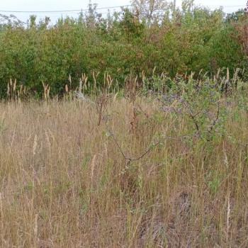 Продается Участок, 600 м²