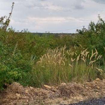 Продается Участок, 600 м²