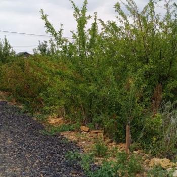 Продается Участок, 600 м²