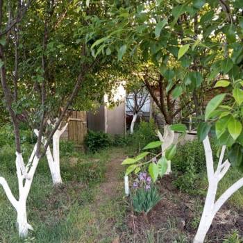 Продается Дом, 30 м²