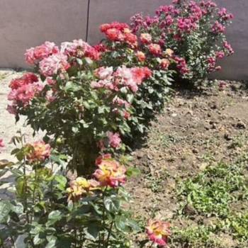 Продается Дом, 130 м²