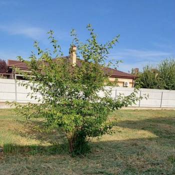 Продается Участок, 660 м²