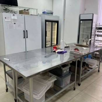 Сдается Нежилое помещение, 45 м²