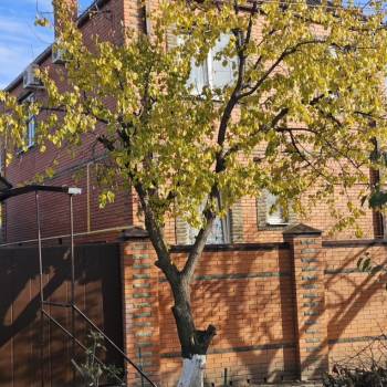 Продается Дом, 114 м²