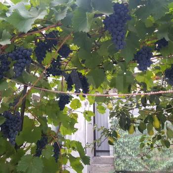 Продается Дом, 81 м²