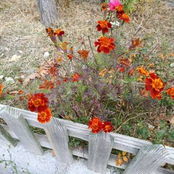 Сдается Комната, 15 м²