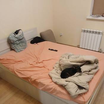 Сдается Комната, 33,1 м²