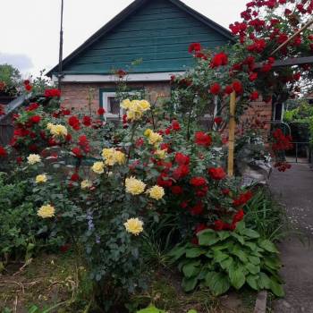 Сдается Дом, 47 м²