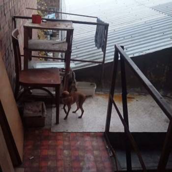 Сдается Комната, 0 м²