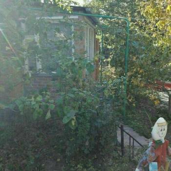 Сдается Комната, 15 м²