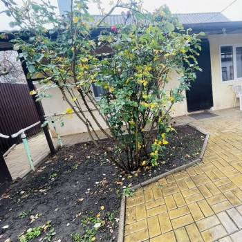 Сдается Дом, 45 м²