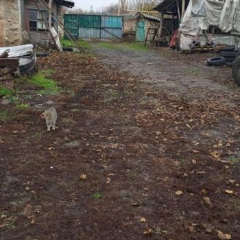 Продается Участок, 4220 м²