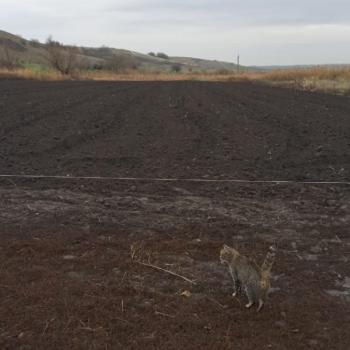 Продается Участок, 4220 м²