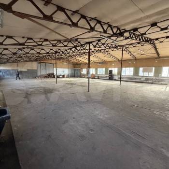 Сдается Нежилое помещение, 440 м²