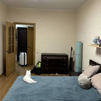 Сдается 1-комнатная квартира, 42,4 м²