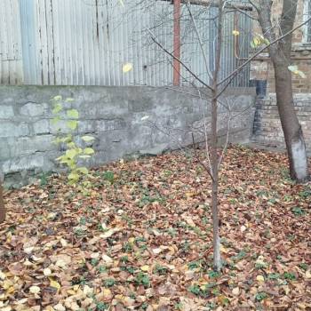 Продается Участок, 670 м²