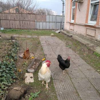 Продается Участок, 1890 м²