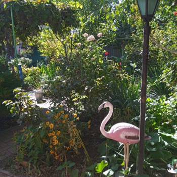 Сдается Дом, 35 м²