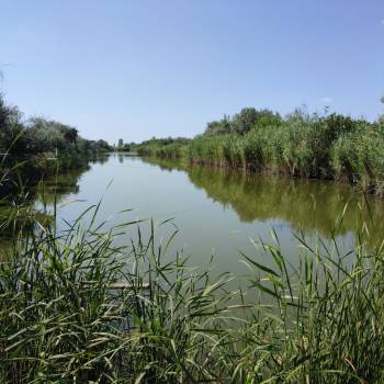 Продается Участок, 600 м²