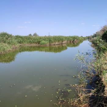 Продается Участок, 600 м²