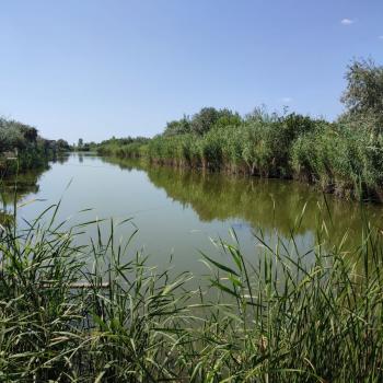 Продается Участок, 600 м²