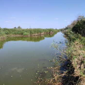 Продается Участок, 600 м²