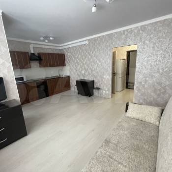 Сдается 1-комнатная квартира, 26,5 м²