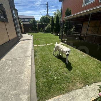 Продается Дом, 195 м²