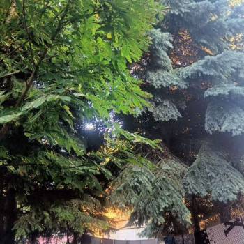 Сдается Комната, 10 м²