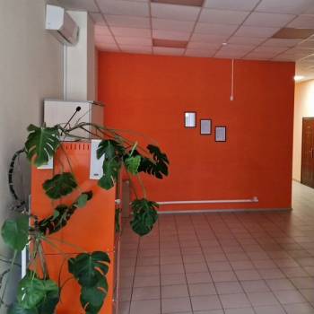 Сдается Нежилое помещение, 264 м²