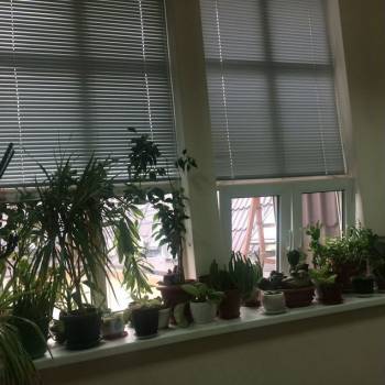 Сдается Офис, 12 м²