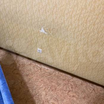 Продается 2-х комнатная квартира, 53,4 м²